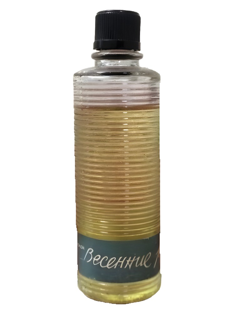 Pavasara strauti (Весенние ручьи)