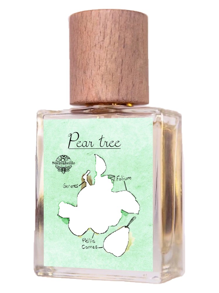 Pear Tree