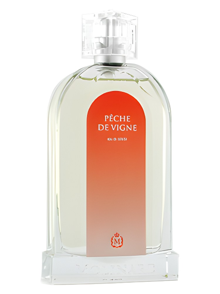 Pêche de Vigne