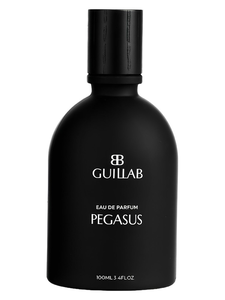 PEGASUS