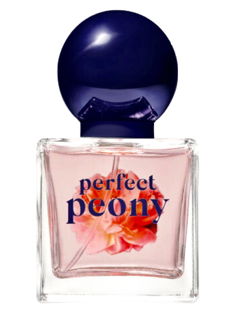 Perfect Peony