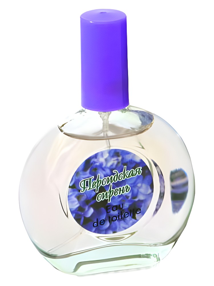 Persian Lilac