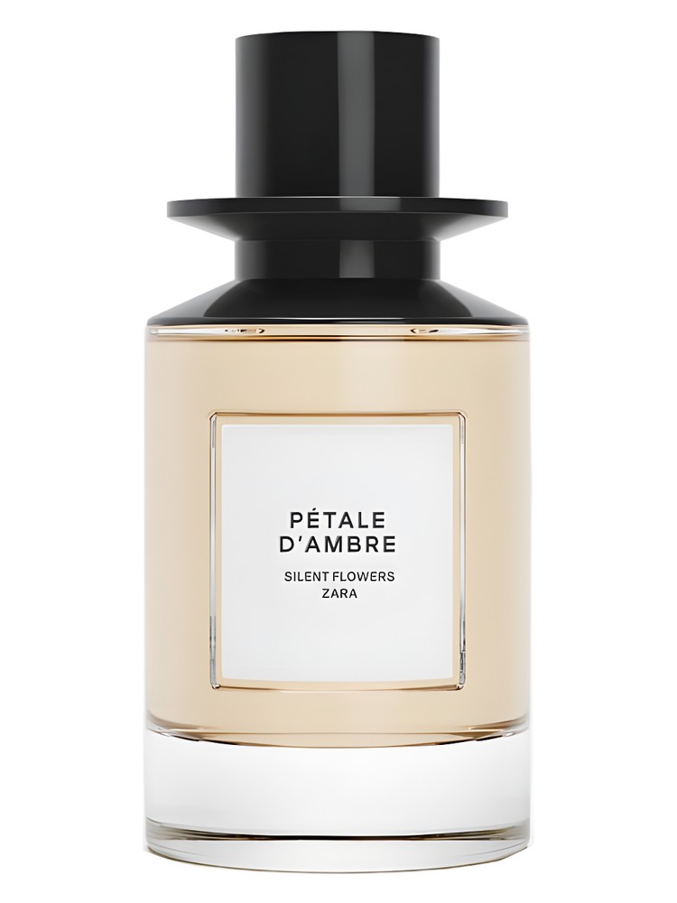 Petale d'Ambre