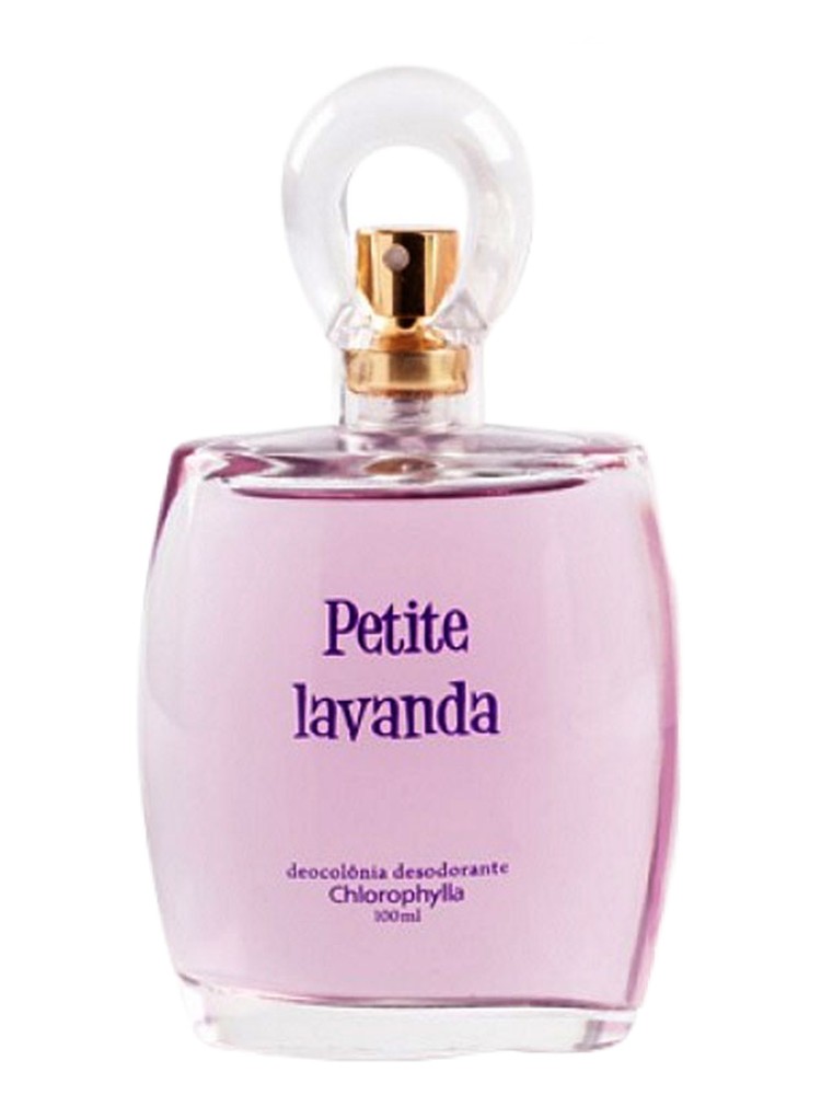 Petite Lavanda