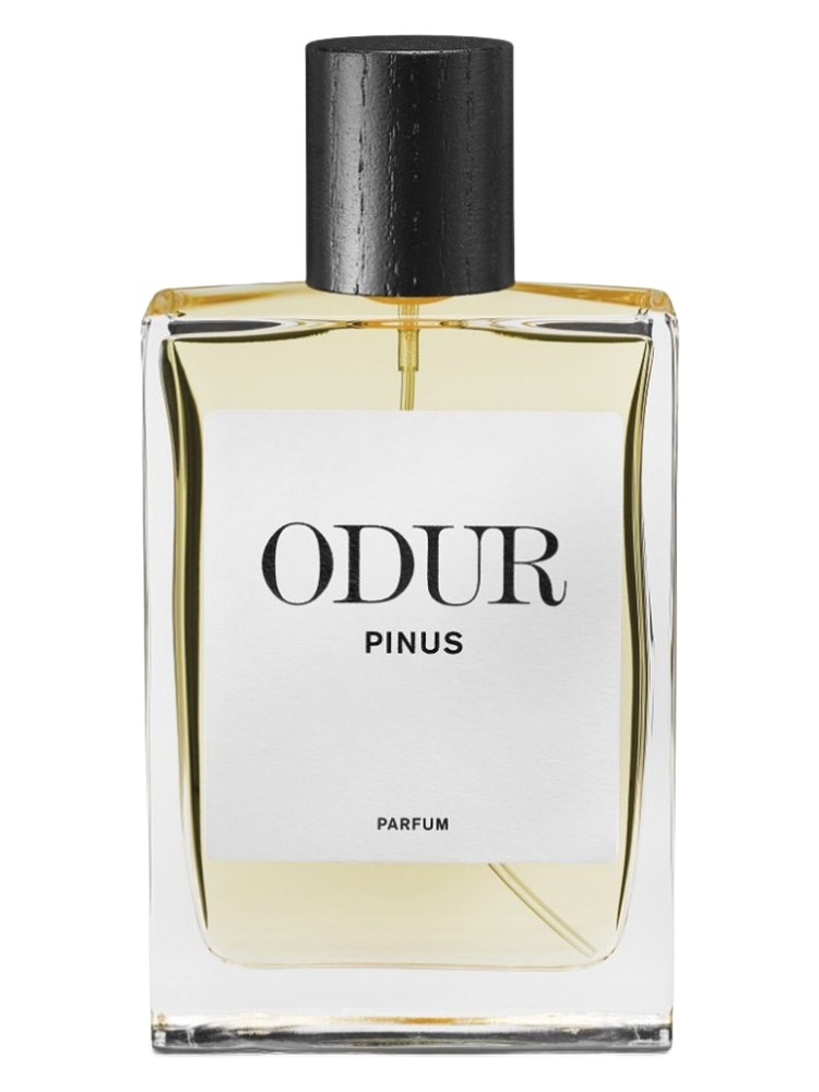 Pinus