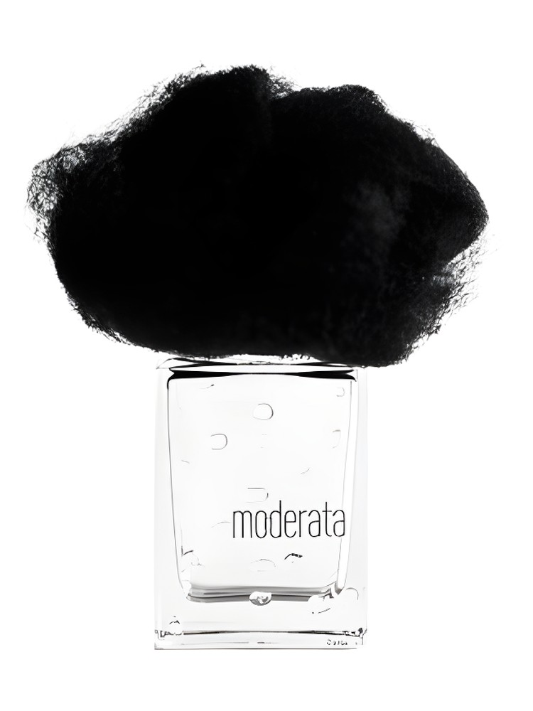 Pioggia Moderata