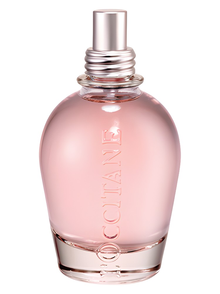 Pivoine Delicate