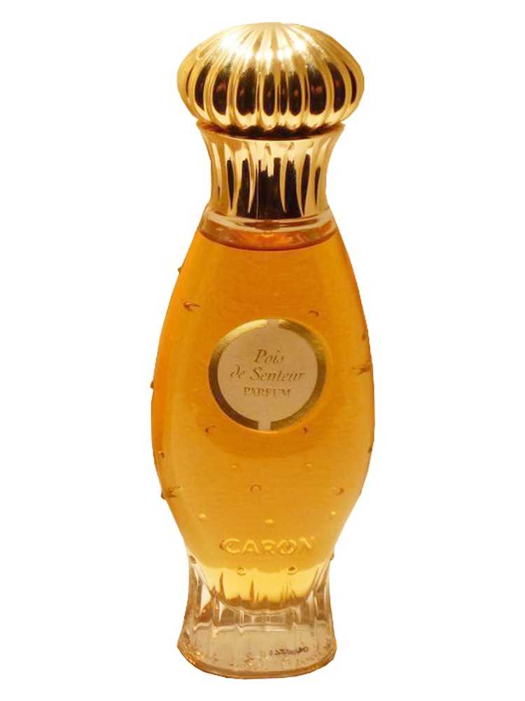 Pois de Senteur Parfum
