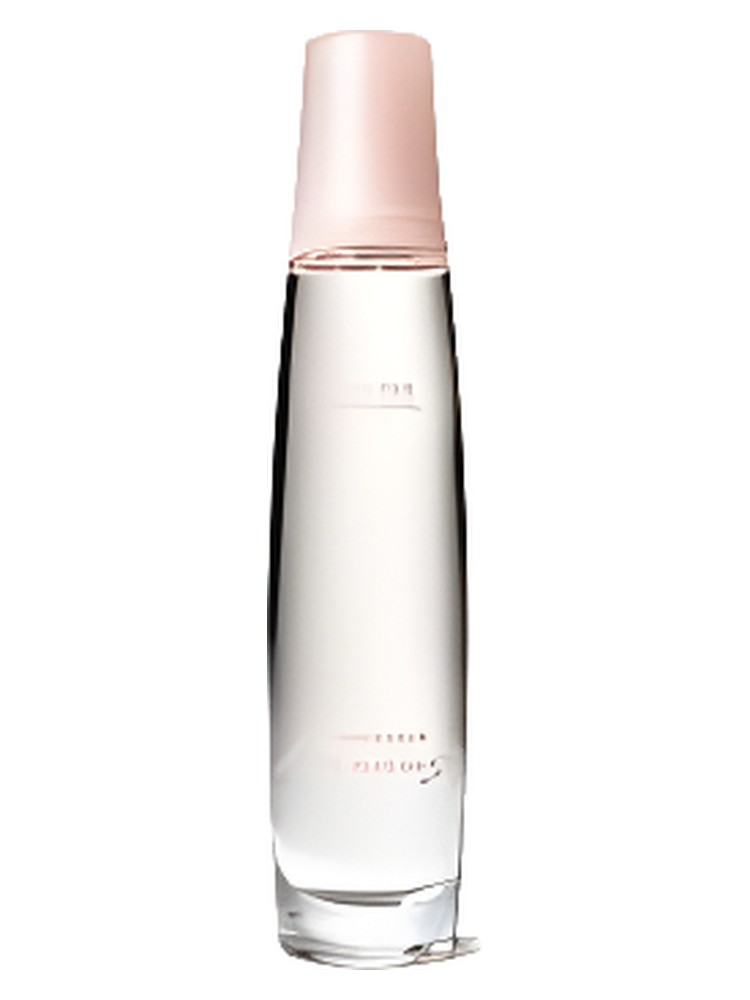 Private Spa Collection - Embrace Dreams