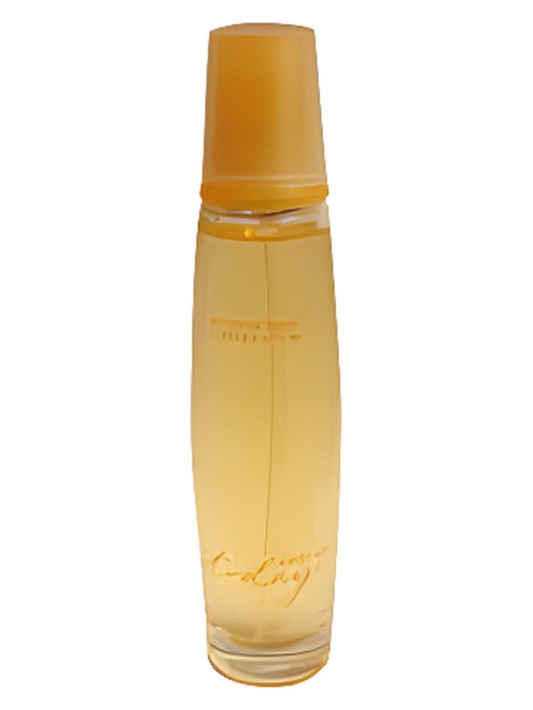 Private Spa Collection - Embrace Today