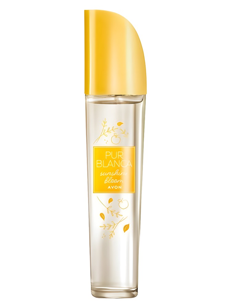Pur Blanca Sunshine Bloom