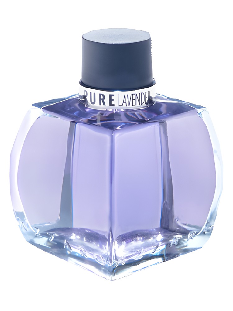 Pure Lavender