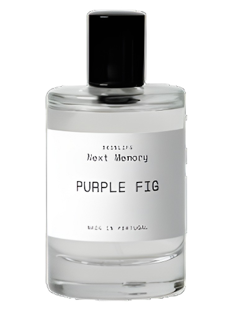 Purple Fig