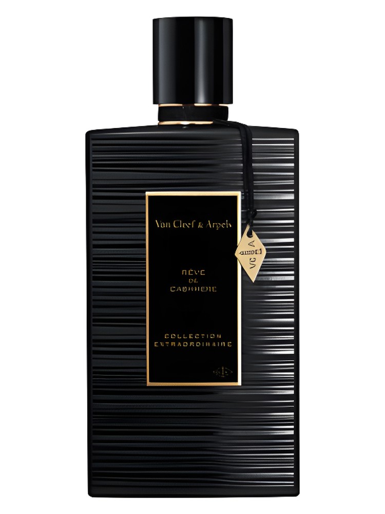 Rêve de Cashmere