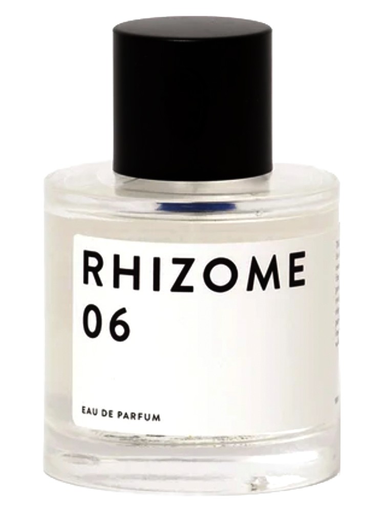 Rhizome 06