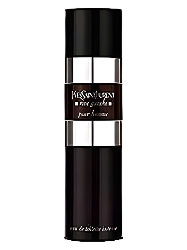 Rive Gauche Pour Homme Intense