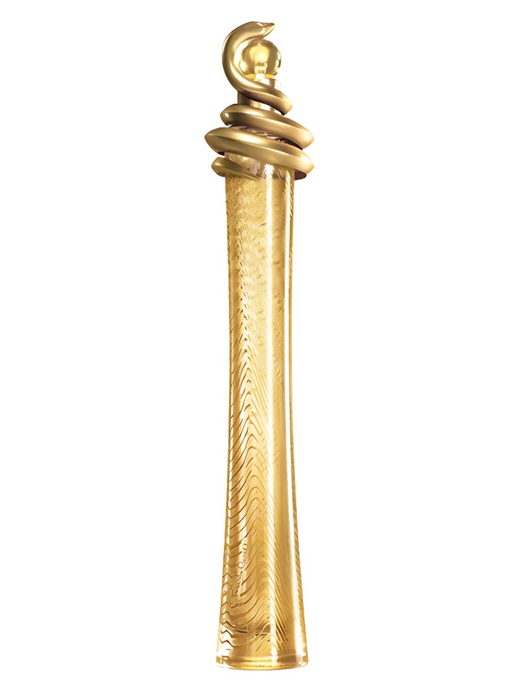 Roberto Cavalli Oro
