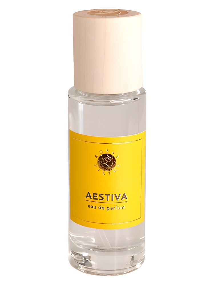 Rosa Aestiva
