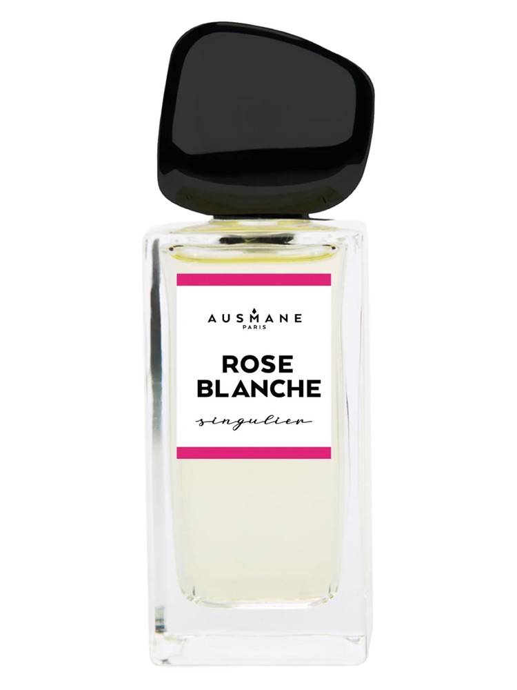 Rose Blanche