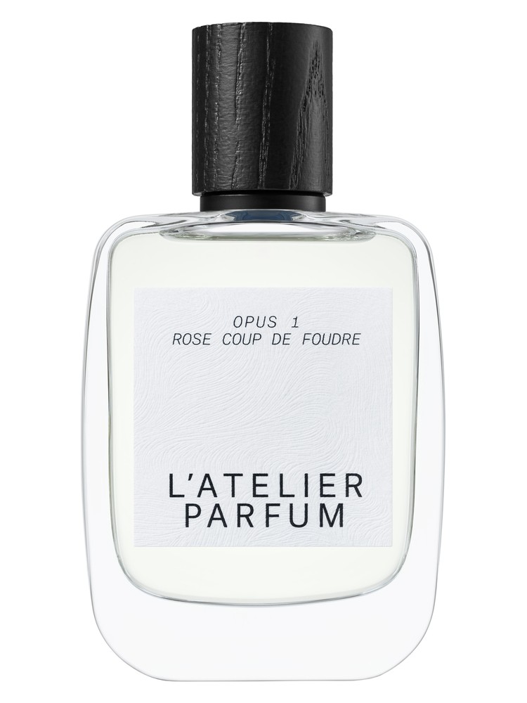 Rose Coup De Foudre