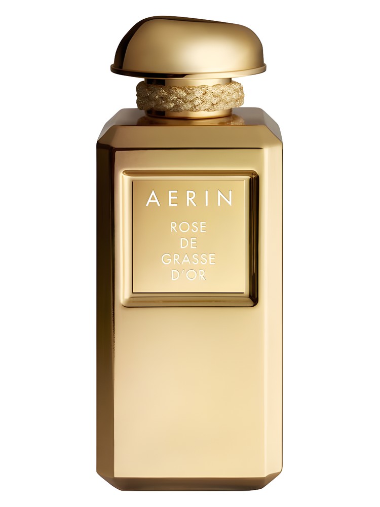 Rose de Grasse d'Or