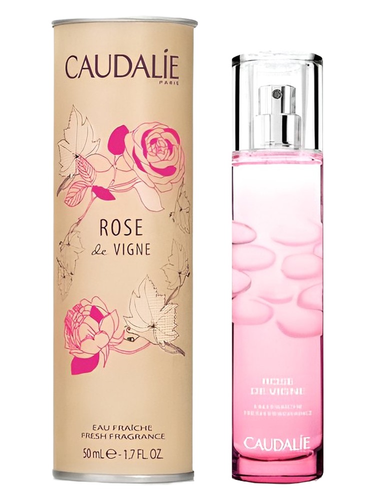 Rose de Vigne