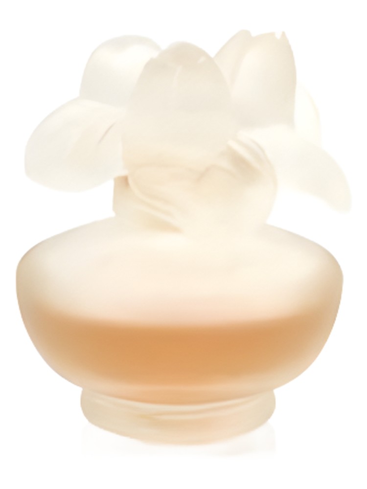Rose Nuage