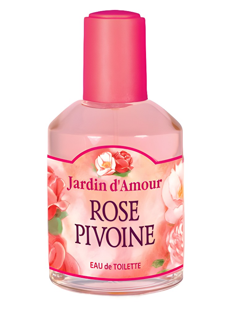 Rose Pivoine