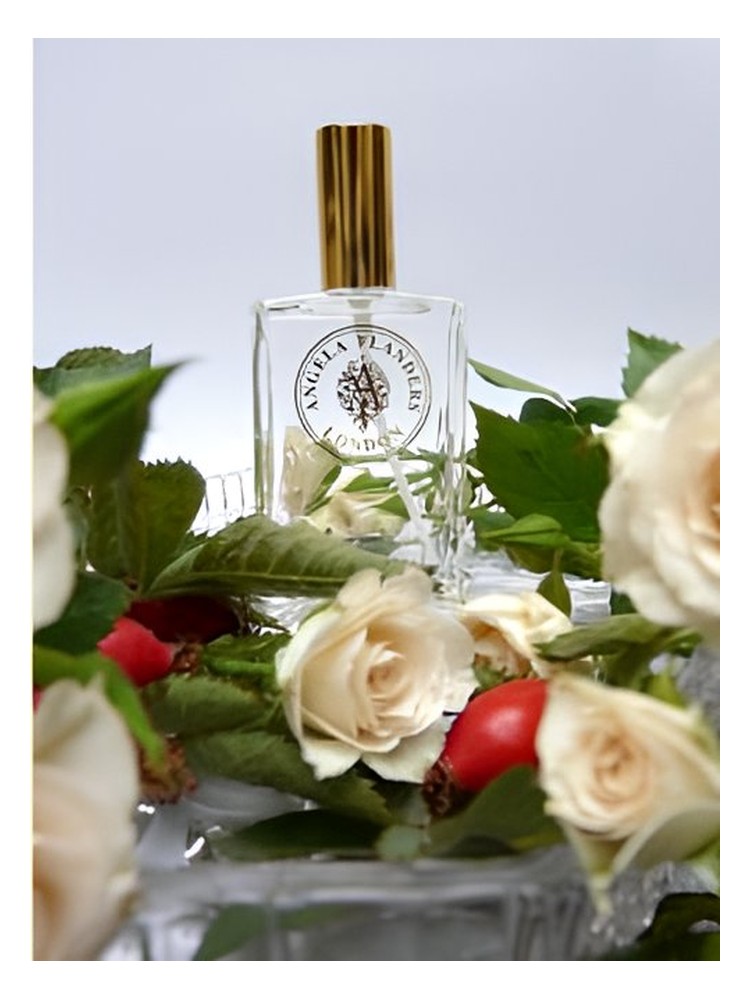 Rose Sauvage