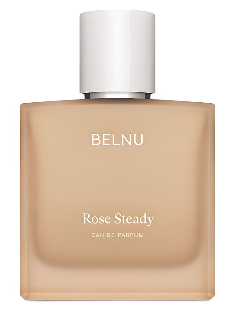 Rose Steady
