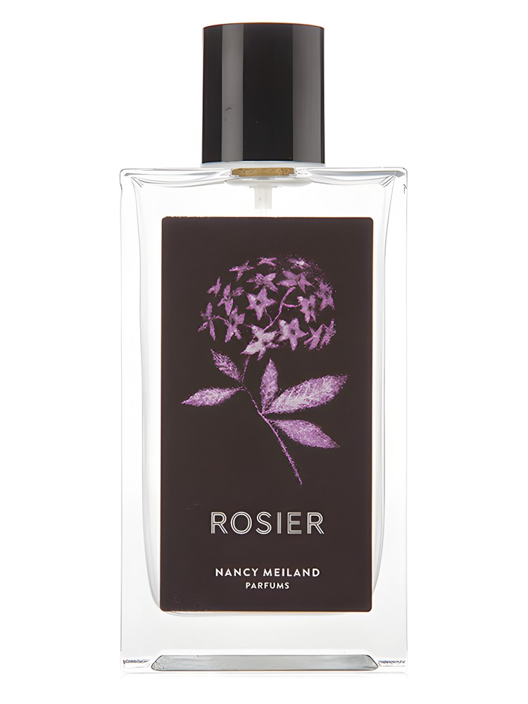Rosier