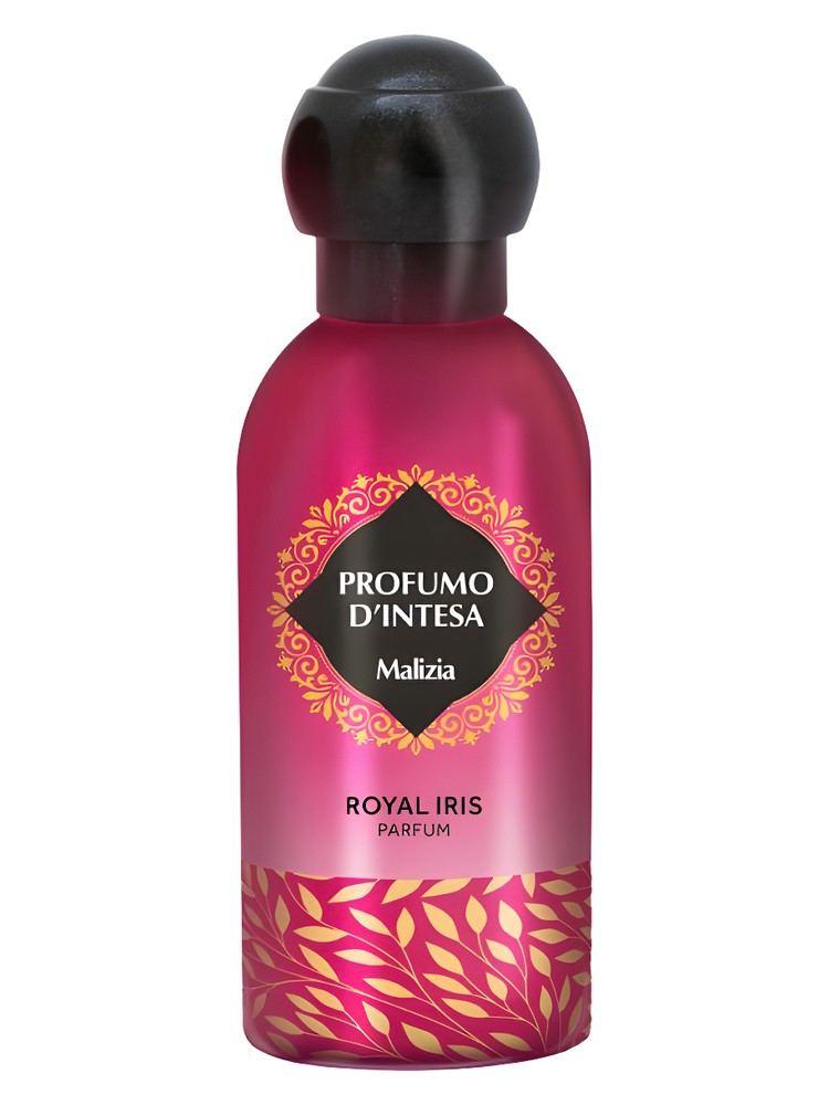 Royal Iris