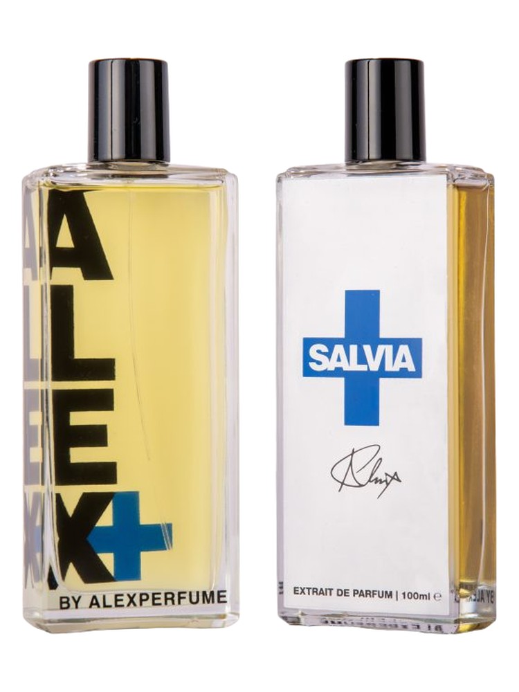 Salvia+