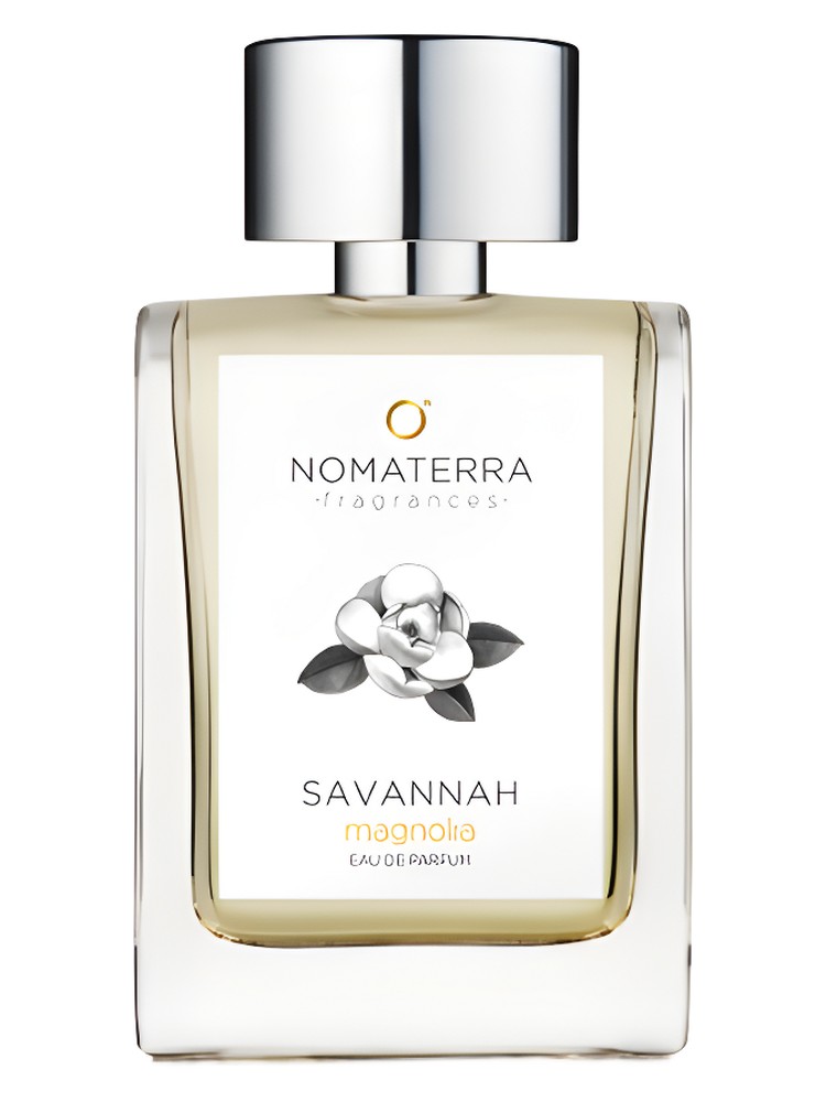 Savannah Magnolia