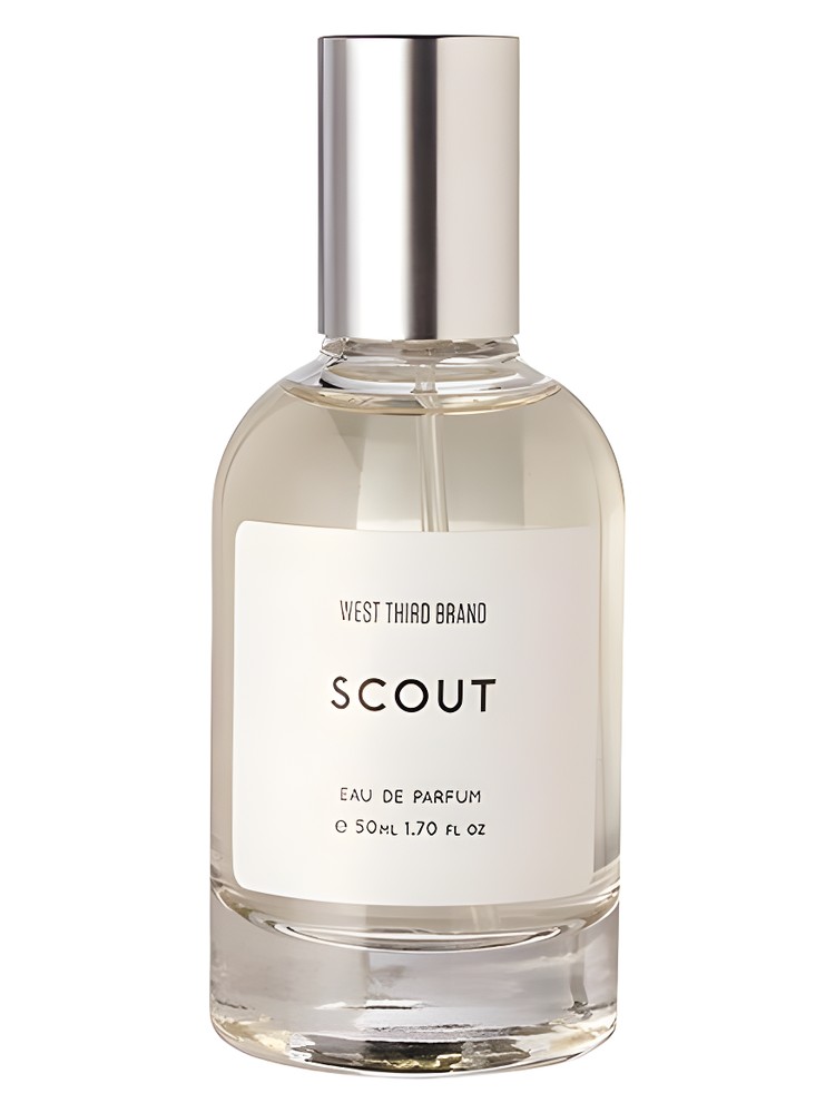 Scout