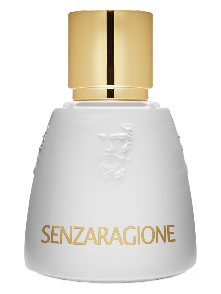 Senzaragione