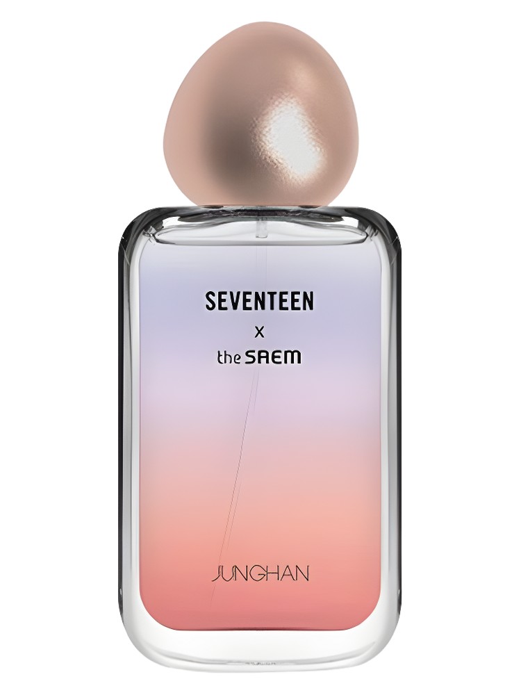 Seventeen X Junghan