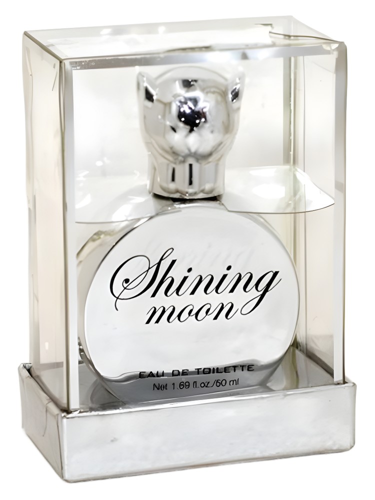 Shining Moon