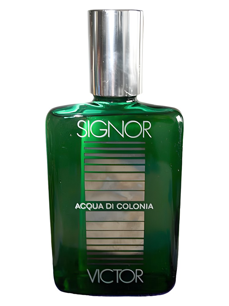 Signor