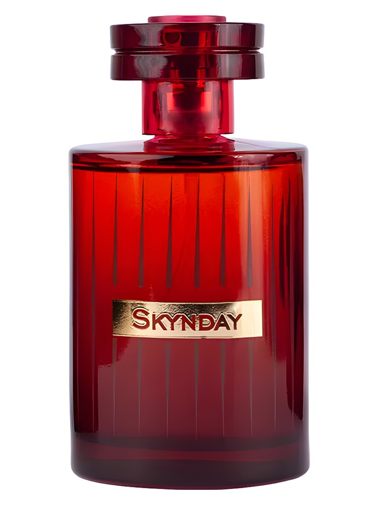 Skynday