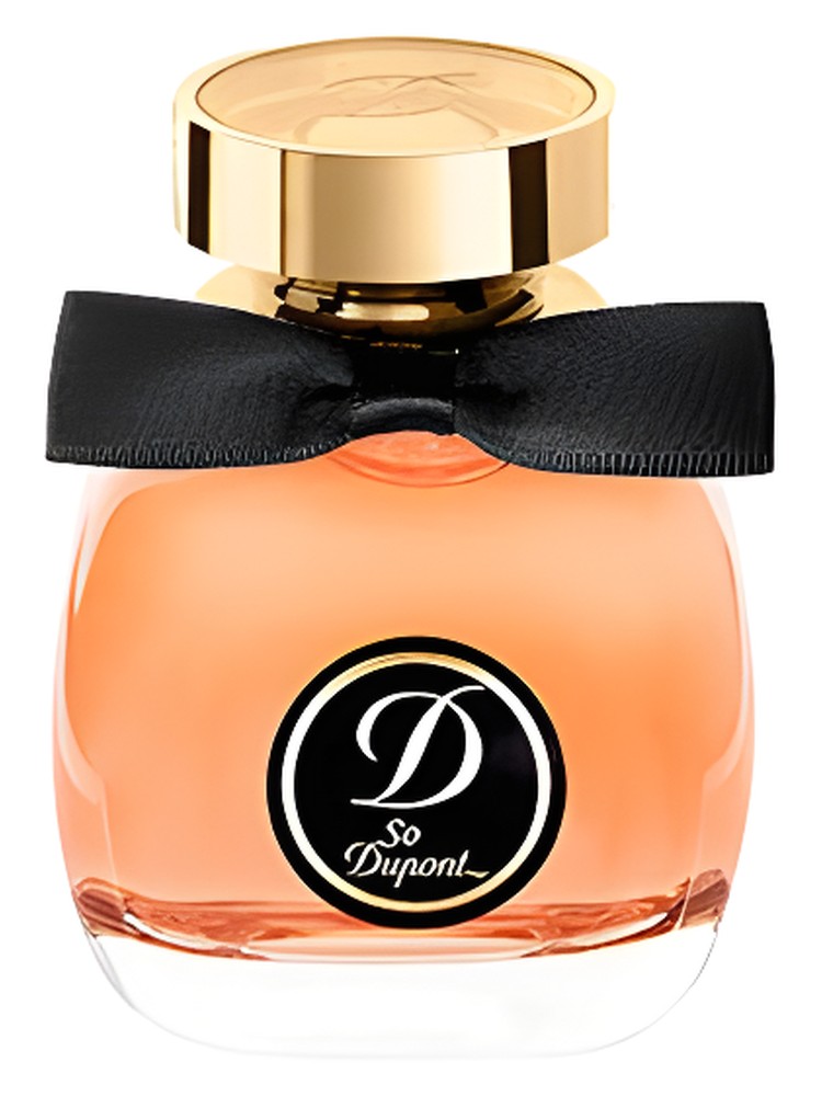 So Dupont Paris by Night Pour Femme