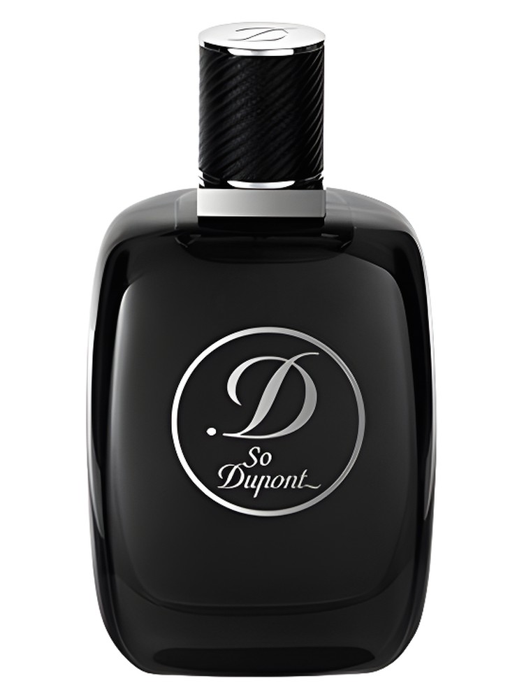 So Dupont Paris by Night pour Homme