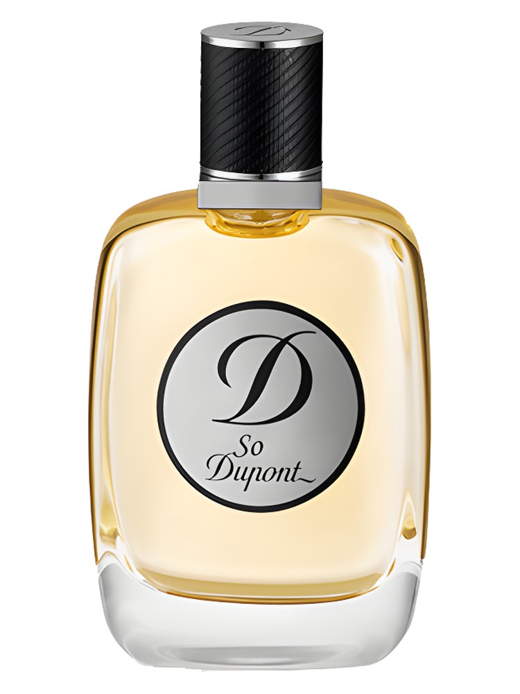 So Dupont Pour Homme