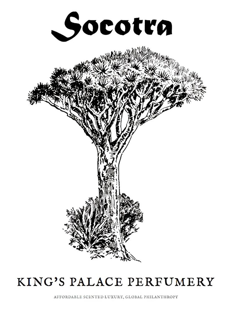 Socotra
