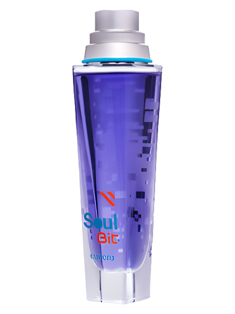 Soul Bit