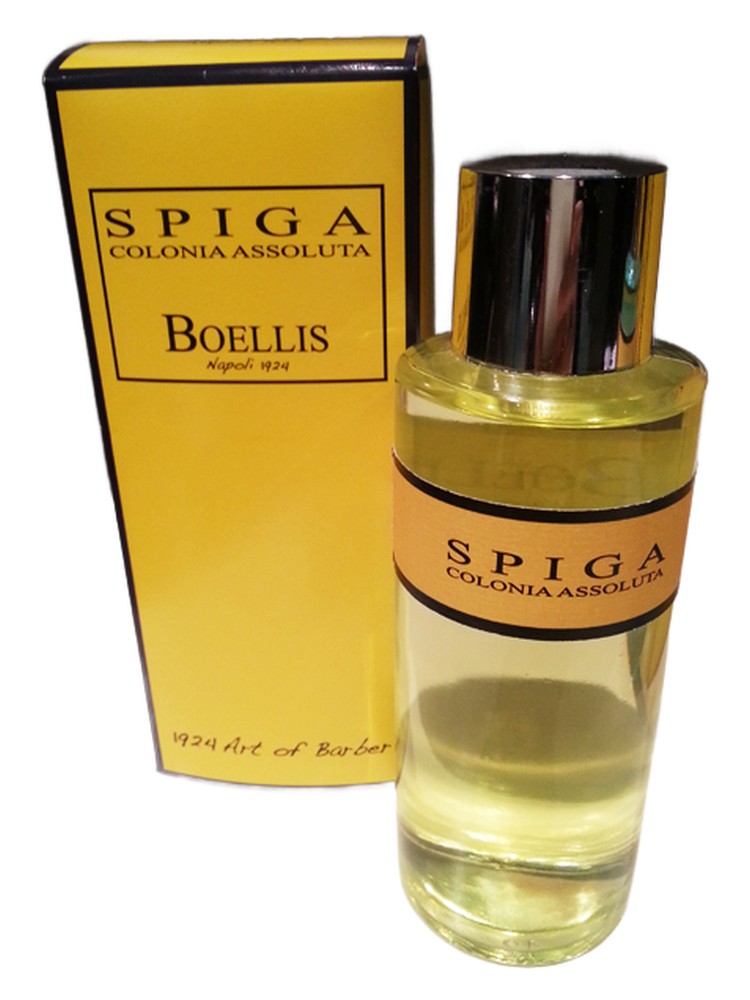 Spiga
