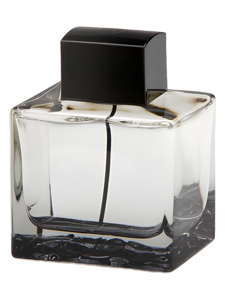Splash Seduction In Black
