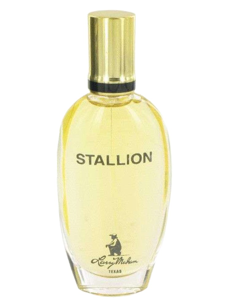 Stallion