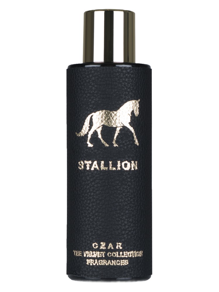 Stallion X Aslan Gülçiçek