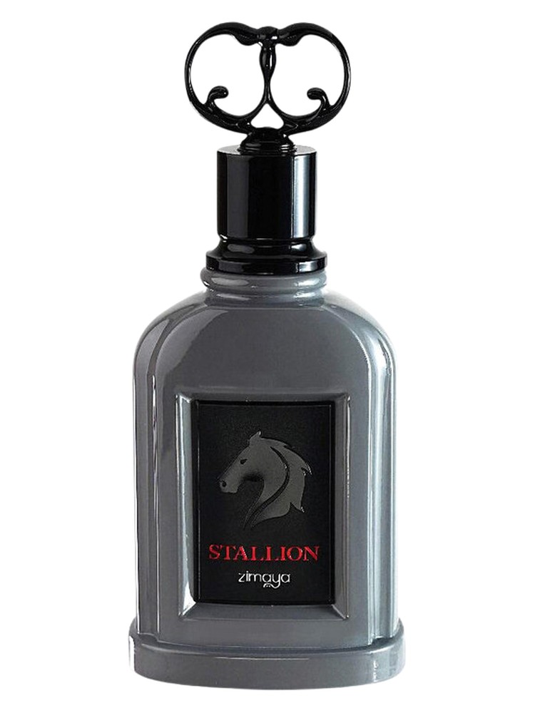 Stallion